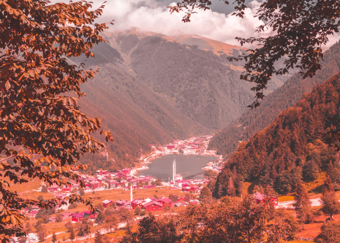 اتتصميم بدون عنوان