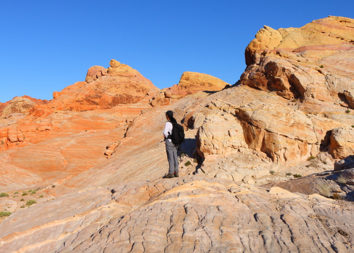 تصميم kklkعنوان