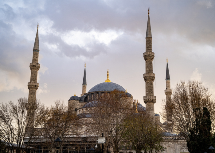 تصميم ب9دون عنوان