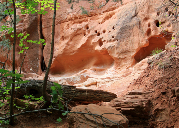 تصميم بدو00ن عنوان