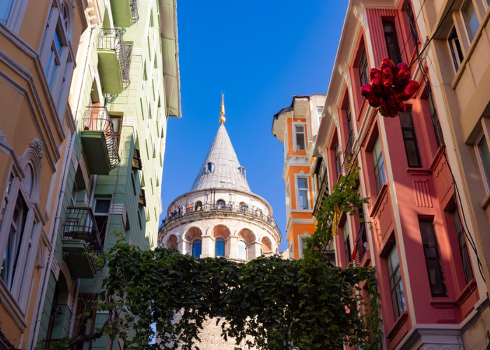 تصميم بدون 00عنوان