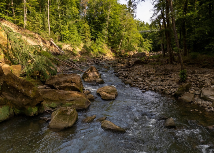 تصميم بدون تنمتهتامعنوان