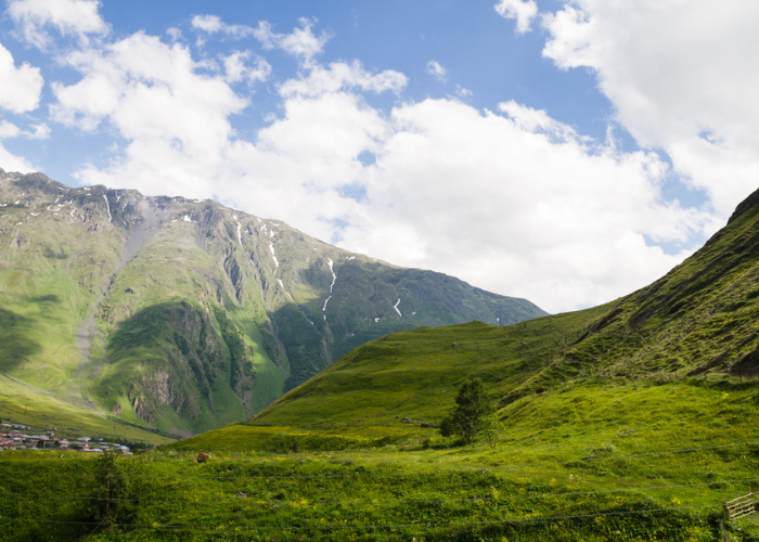 تصميم بدون عنوان66