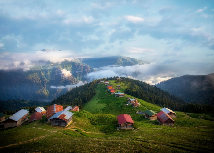 تصميم بمبنمةبيبدون عنوان (1)