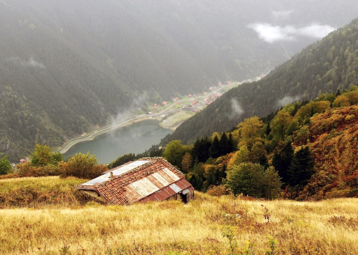 تصميم ن عنوان