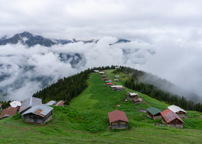 تصىىمتنمىمميم بدون عنوان