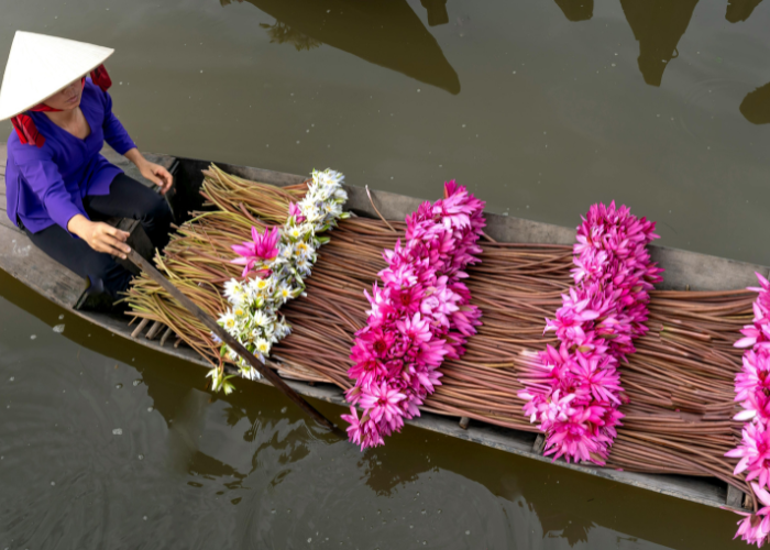 الطبيعة الساحرة